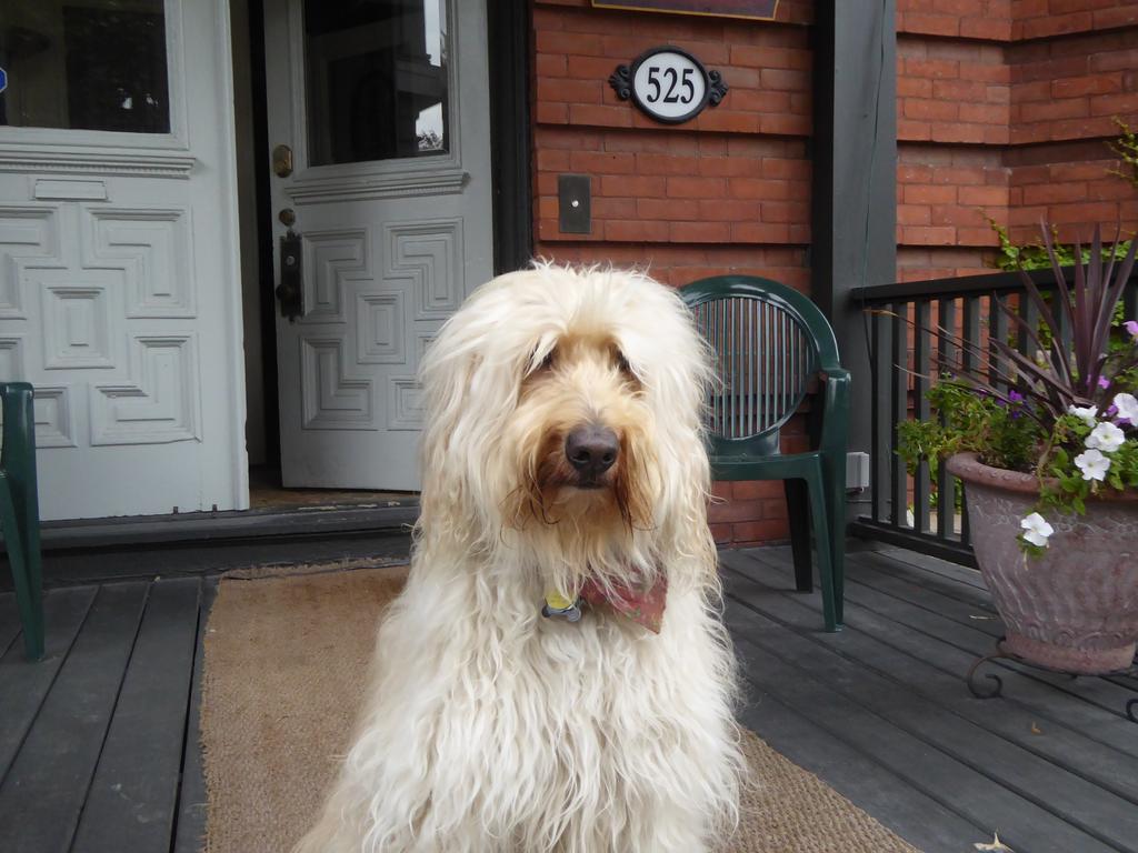 Auberge King Edward Bed And Breakfast Ottawa Luaran gambar