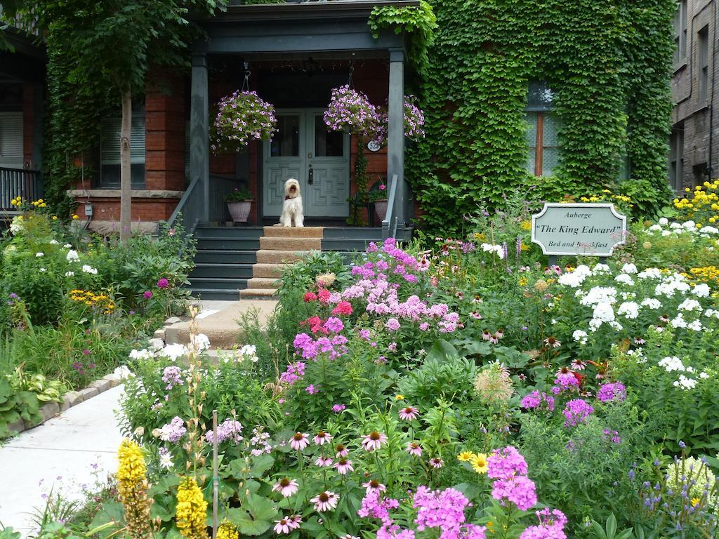 Auberge King Edward Bed And Breakfast Ottawa Luaran gambar